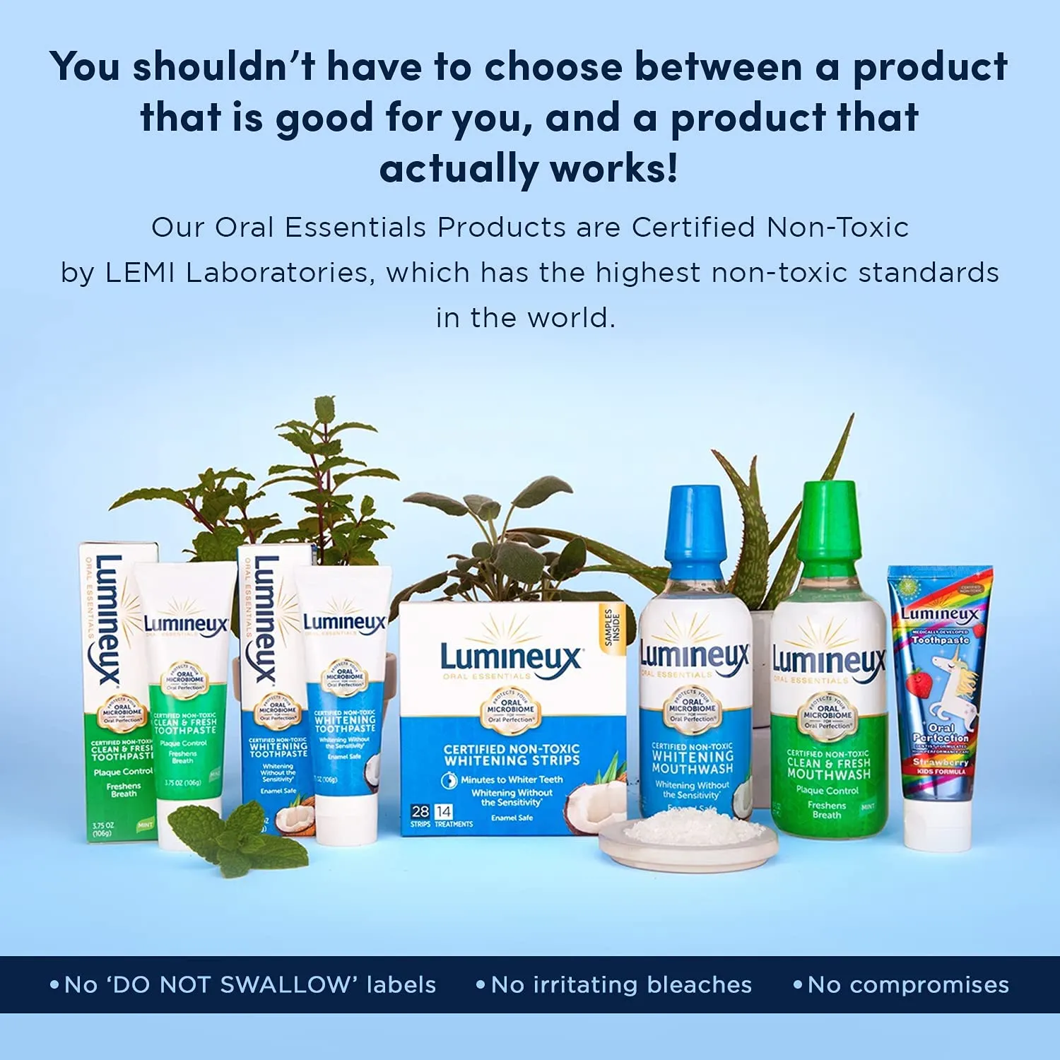 31891 oral essentials kit main