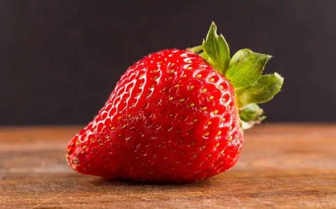 31933 strawberry mash teeth whitening