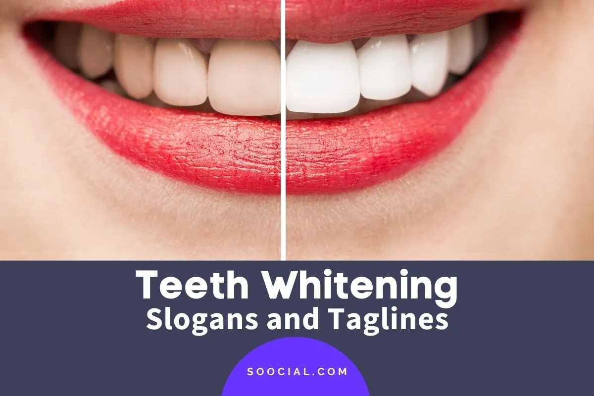 32036 whitening toothpastes