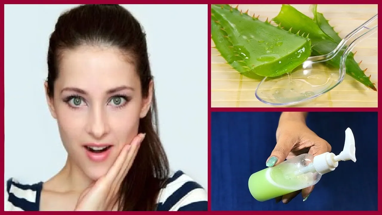 32057 aloe vera plant