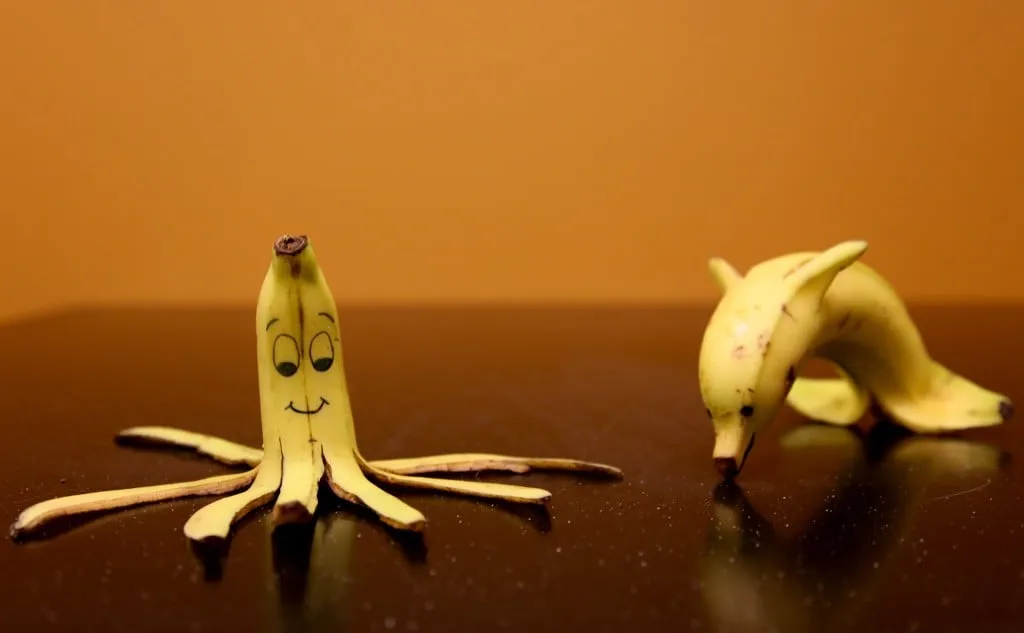 32104 preparing banana skin